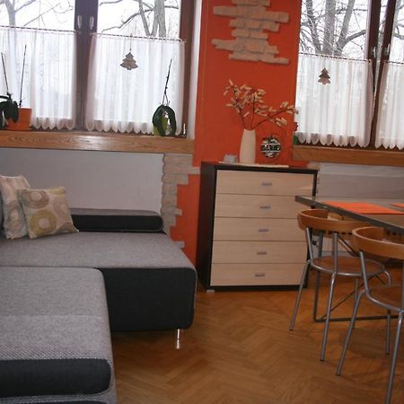 Apartamenty Paradis זקופאנה מראה חיצוני תמונה