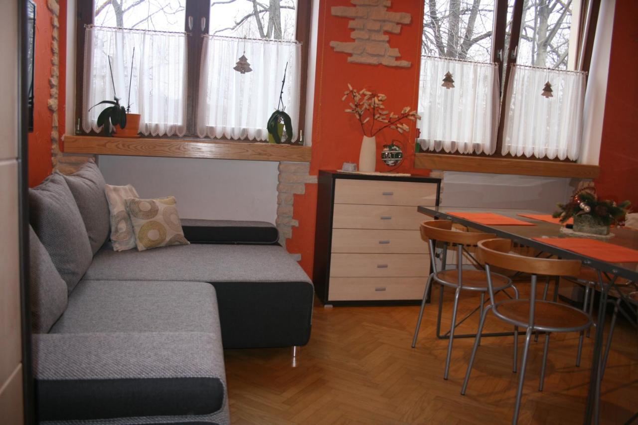 Apartamenty Paradis זקופאנה מראה חיצוני תמונה